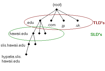 Diagram of DNS hierarchical structure